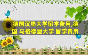 德国汉堡大学留学费用,德国 马格德堡大学 留学费用